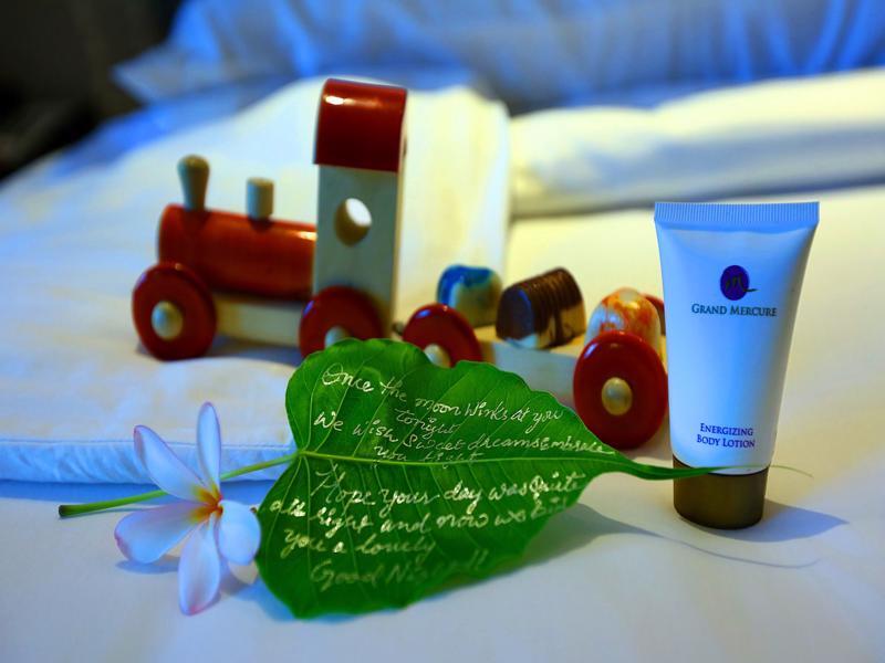 그랜드 머큐어 마이소르 - 언 아코르호텔 브랜드 외부 사진 Child-friendly amenities