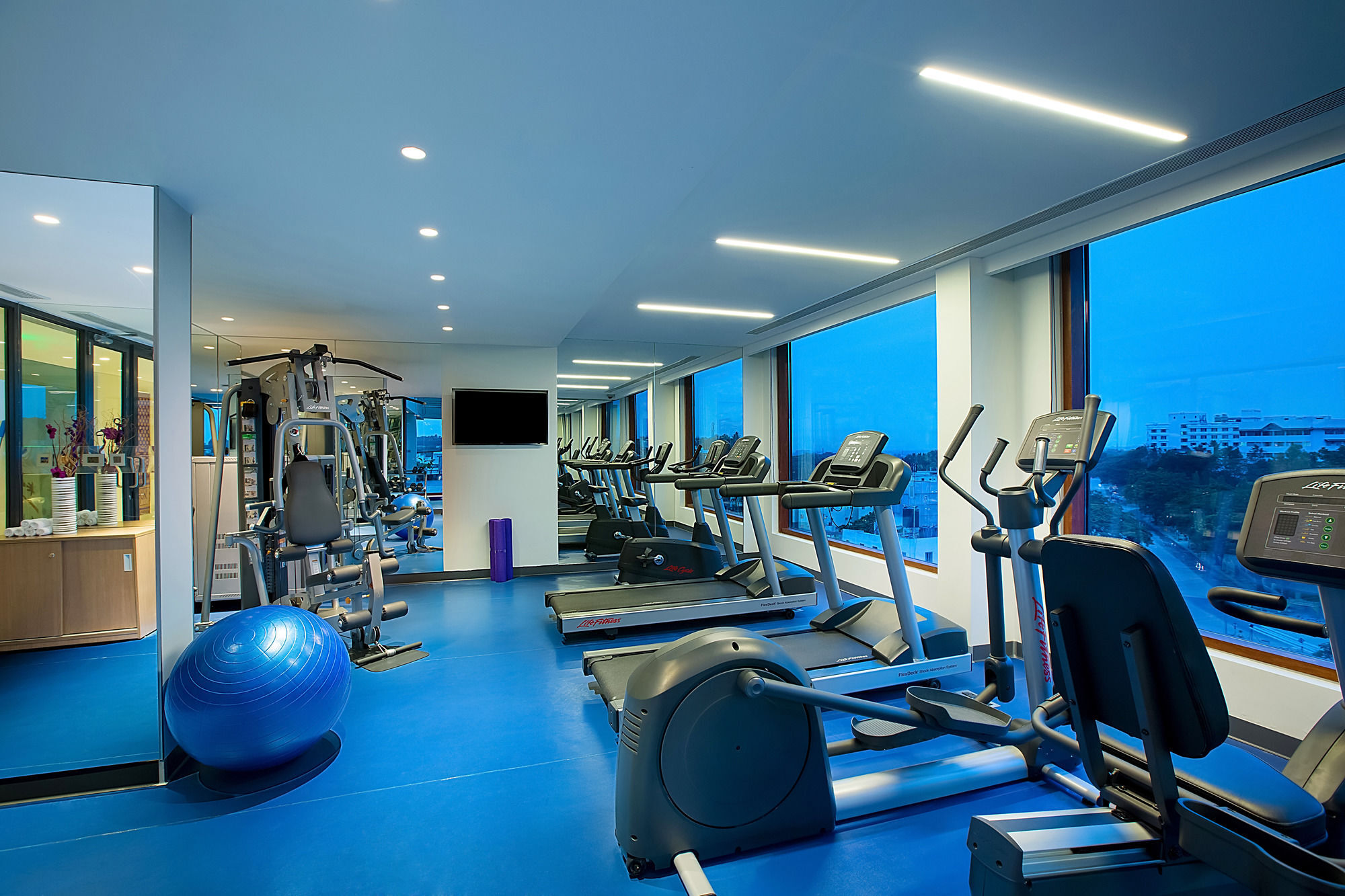 그랜드 머큐어 마이소르 - 언 아코르호텔 브랜드 외부 사진 The gym at the hotel